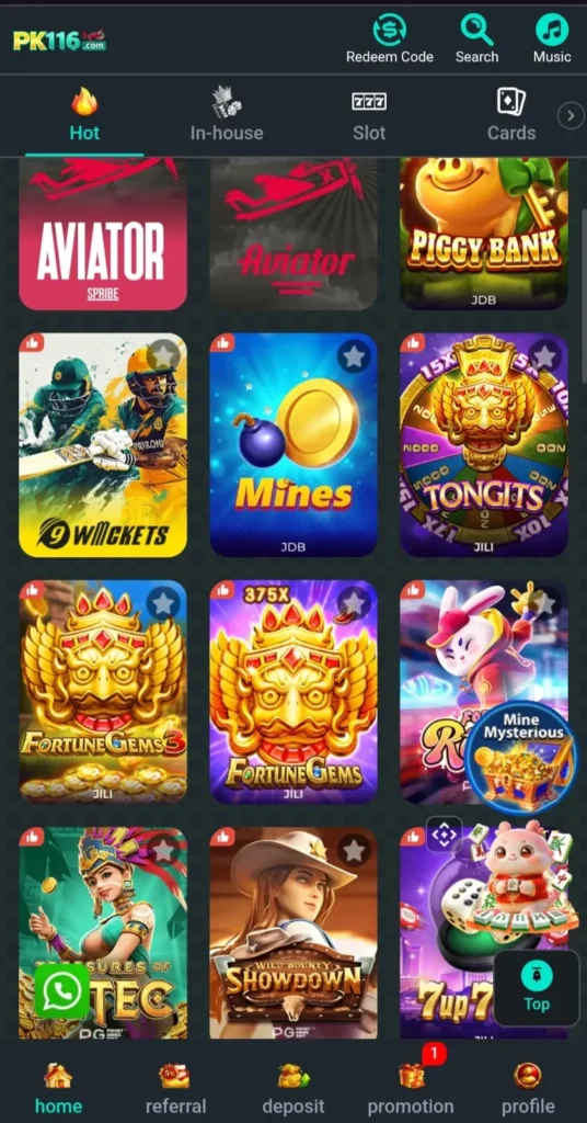 pk116 game interface